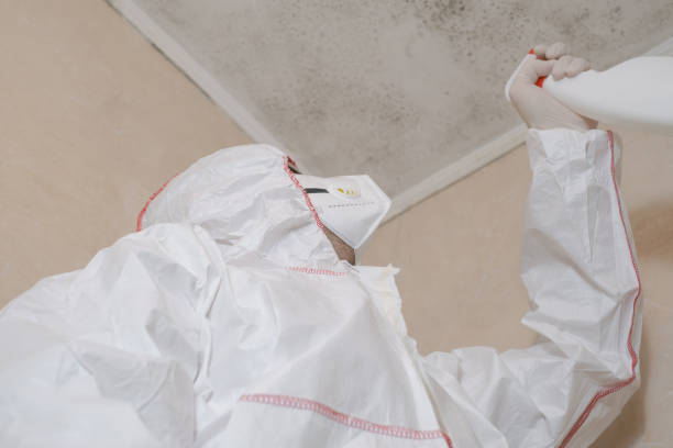 Best Fast Mold Removal  in Regency At Monroe, NJ