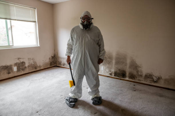 Best Certified Mold Removal  in Regency At Monroe, NJ